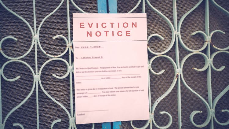Navigating eviction court can be overwhelming, especially for those without a lawyer. But there are some free resources that can help.