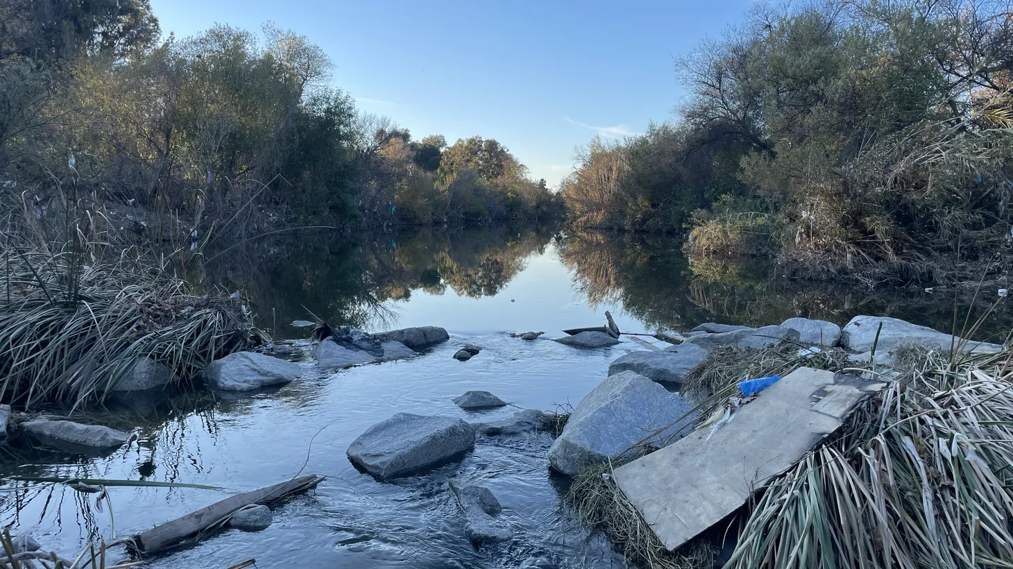A section of a natural LA River inspires debate over whether more of the river could look this way.
