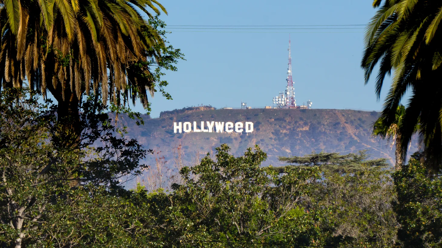 Artist/prankster Zach Fernandez transformed the Hollywood sign to mark the legalization of marijuana in California in 2017.
