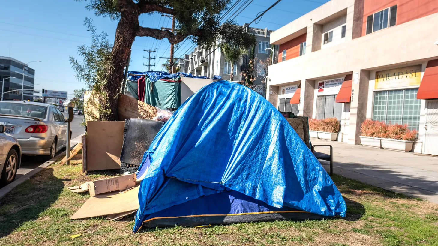 LA City Council voted this week to allow the removal of street encampments like this one at 70 new locations.