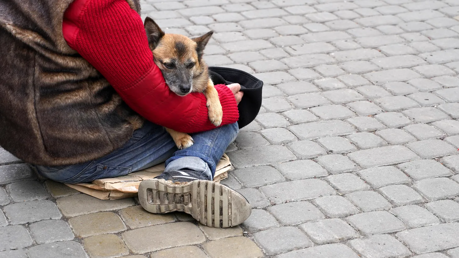 “It's actually estimated that a quarter of unhoused people, especially in this state, have pets,” says Liv Sigel, founder of Underdog Community Project.