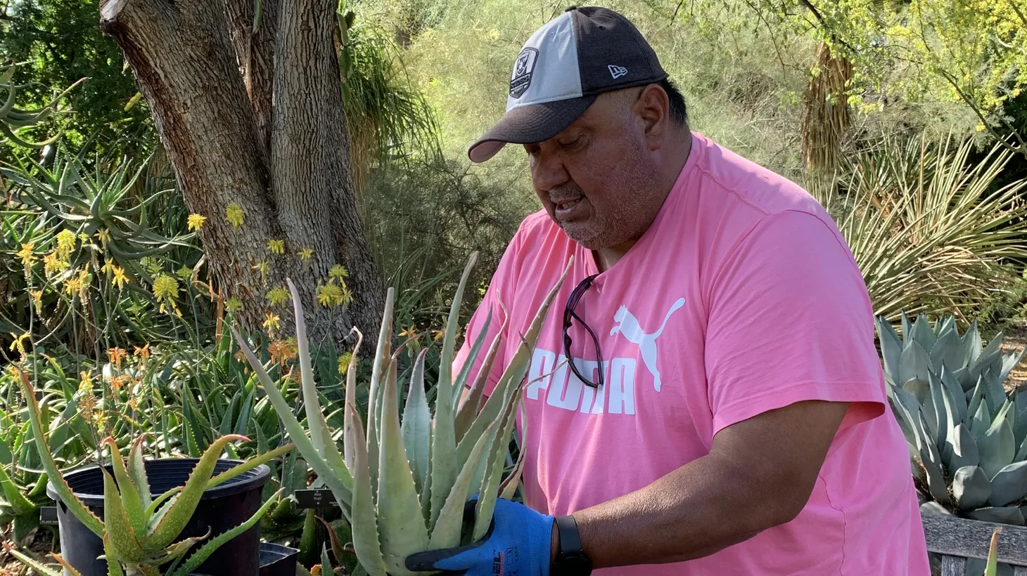 “Even though many people may think very little of being a gardener, it’s not like I’m an architect or one that flies to the moon. I feel pride in what I do,” says gardener Faustino Benites.