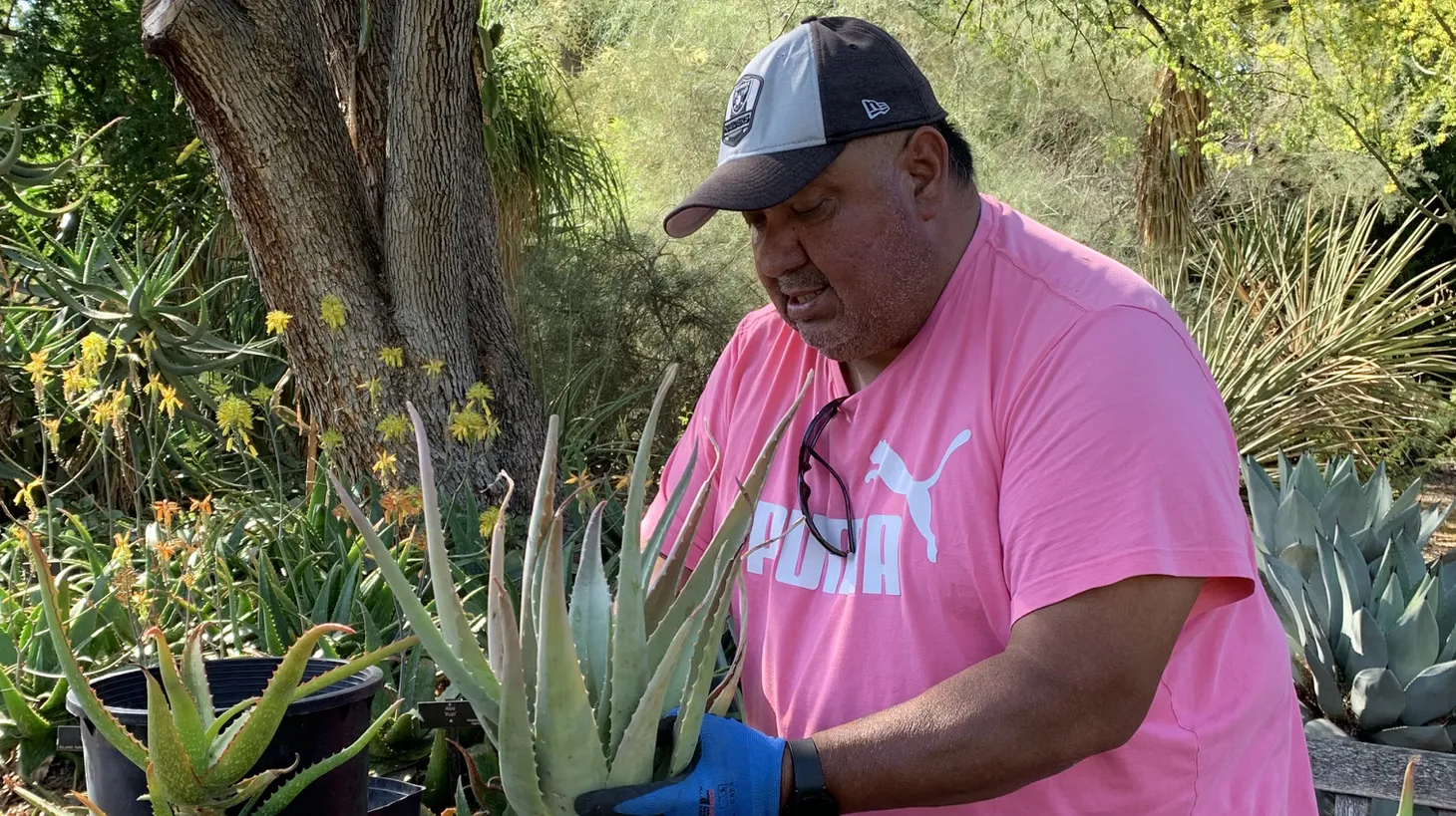 “Even though many people may think very little of being a gardener, it’s not like I’m an architect or one that flies to the moon. I feel pride in what I do,” says gardener Faustino Benites.