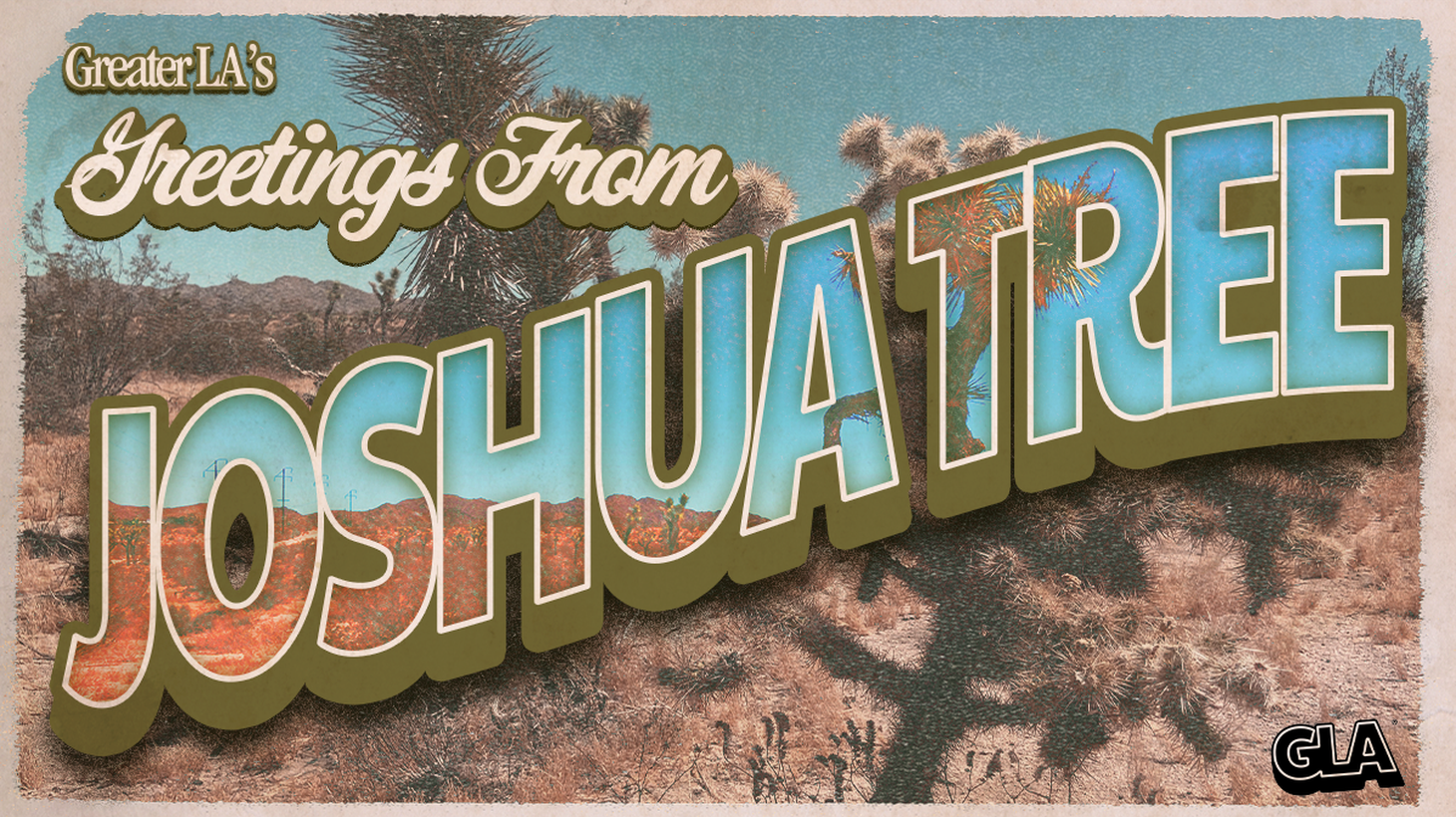 If you love Joshua Tree National Park, you have a little old lady from Pasadena to thank, Minerva Hamilton Hoyt.