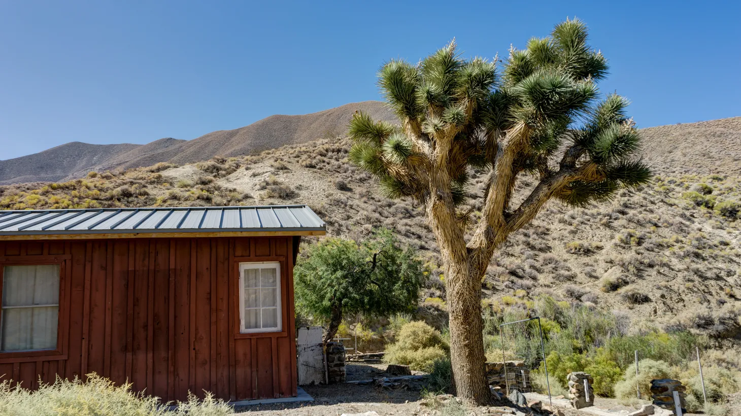 More than 1,000 vacation rentals exist in the larger Joshua Tree area, according to AirDNA, an analytics company that tracks short-term rentals.