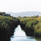 Love letter to LA River resurfaces — 20 years later