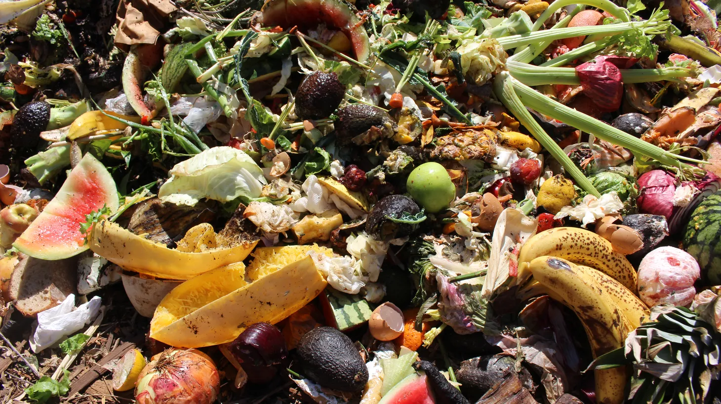 Most food scraps in California are still getting buried in landfills and contributing to climate change. A state law aims to change that.