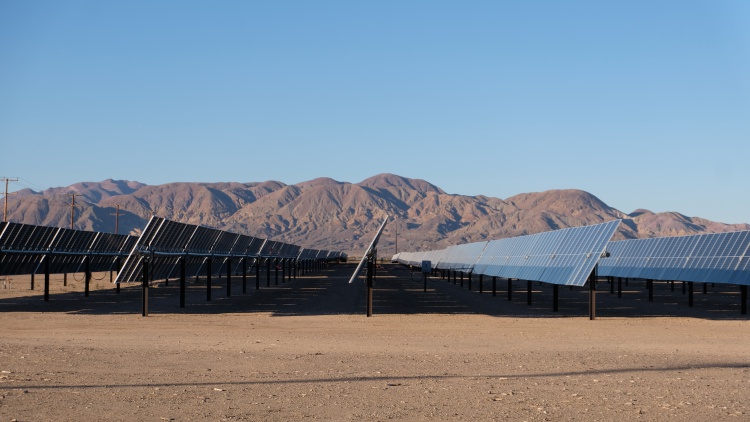 Massive solar projects will help California reach renewable energy goals, but not without costs to fragile desert ecosystems.