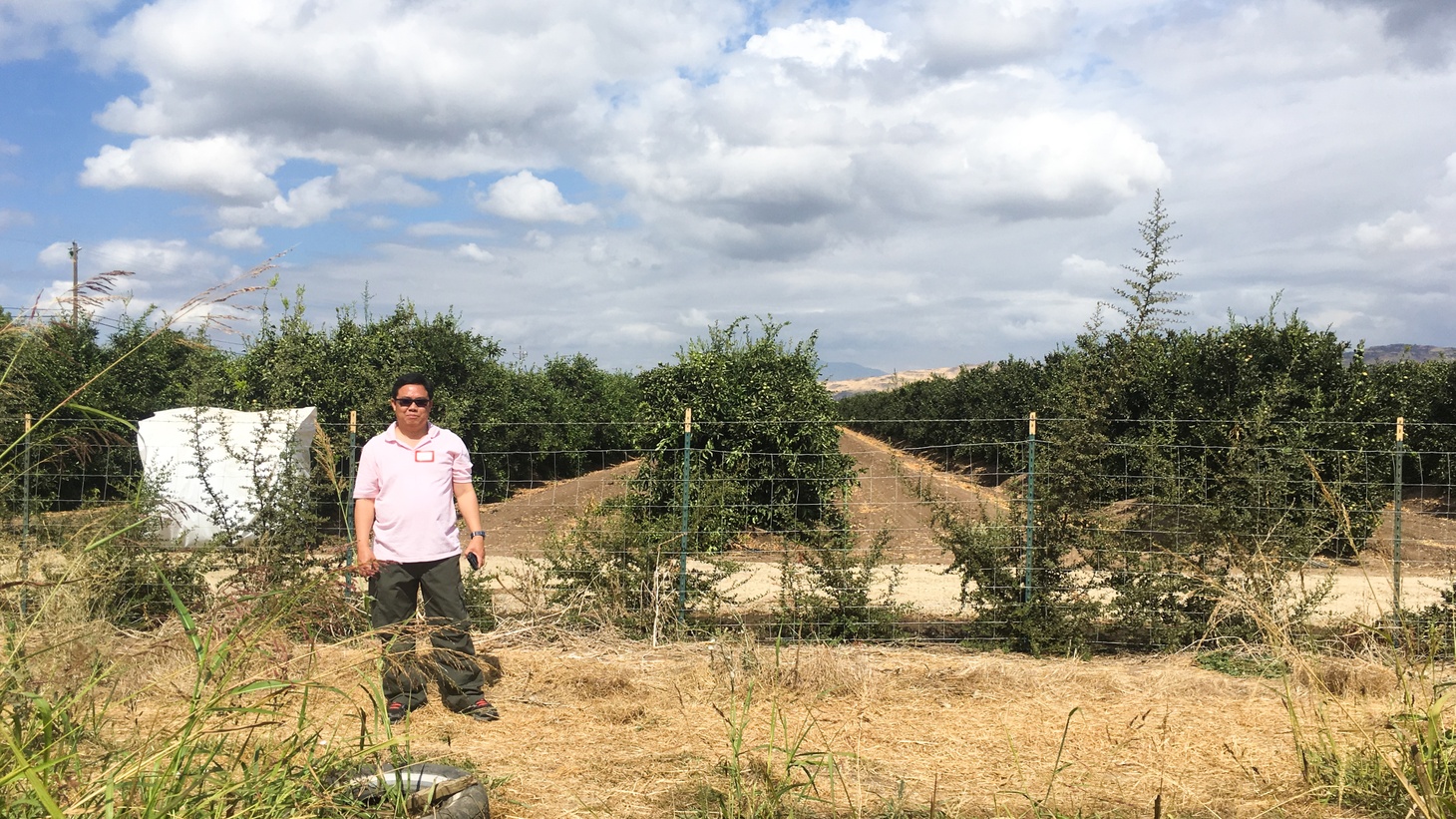 Pilipino Workers Center organizer Randy Magusara stands in a field in Central California.