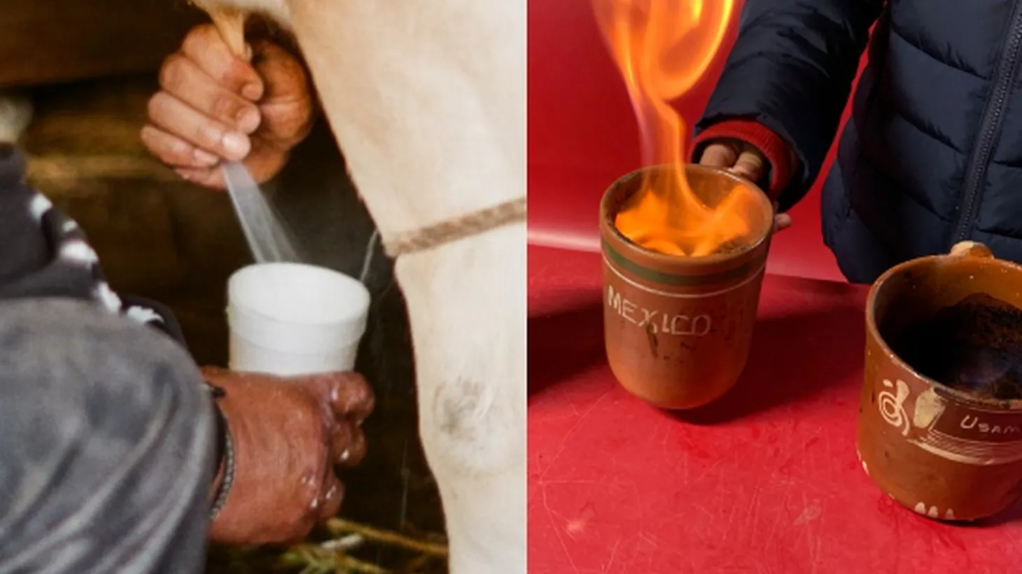 Pajaretes are made with milk straight from the udder, and in an added bit of flare, are sometimes lit on fire.