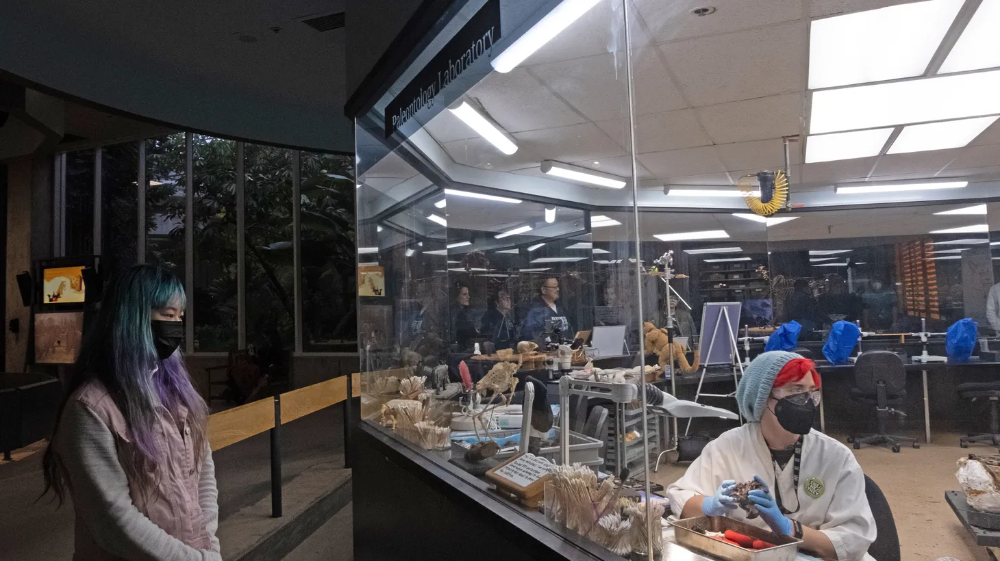 An onlooker watches as researchers examine fossil samples found in the La Brea Tar Pits.