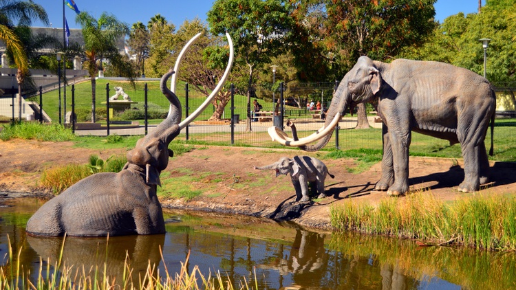 The La Brea Tar Pits are getting a makeover. As it looks toward its future, KCRW wants to know your favorite memories from the iconic site.
