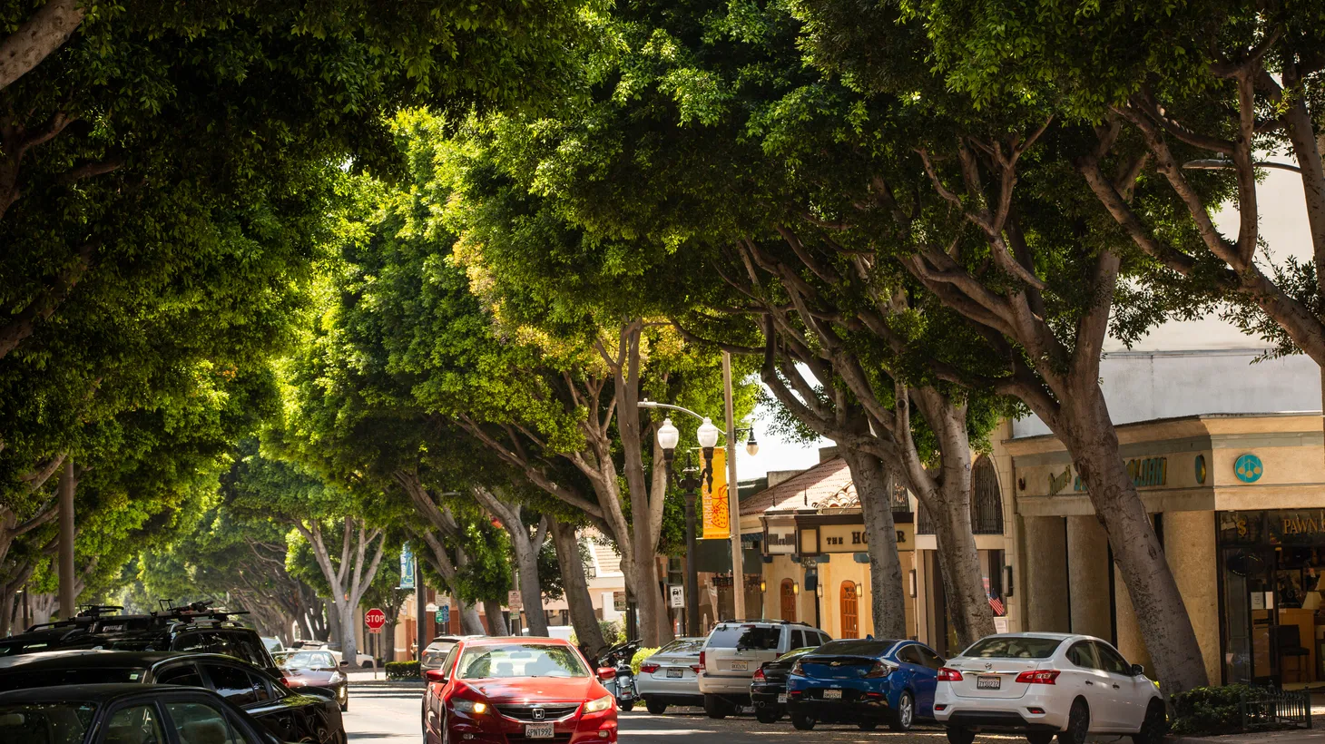 Trees, like these ones in Whitter, can make a person feel 20 to 50 degrees cooler than someone standing in the sun, according to UCLA Professor V. Kelly Turner.