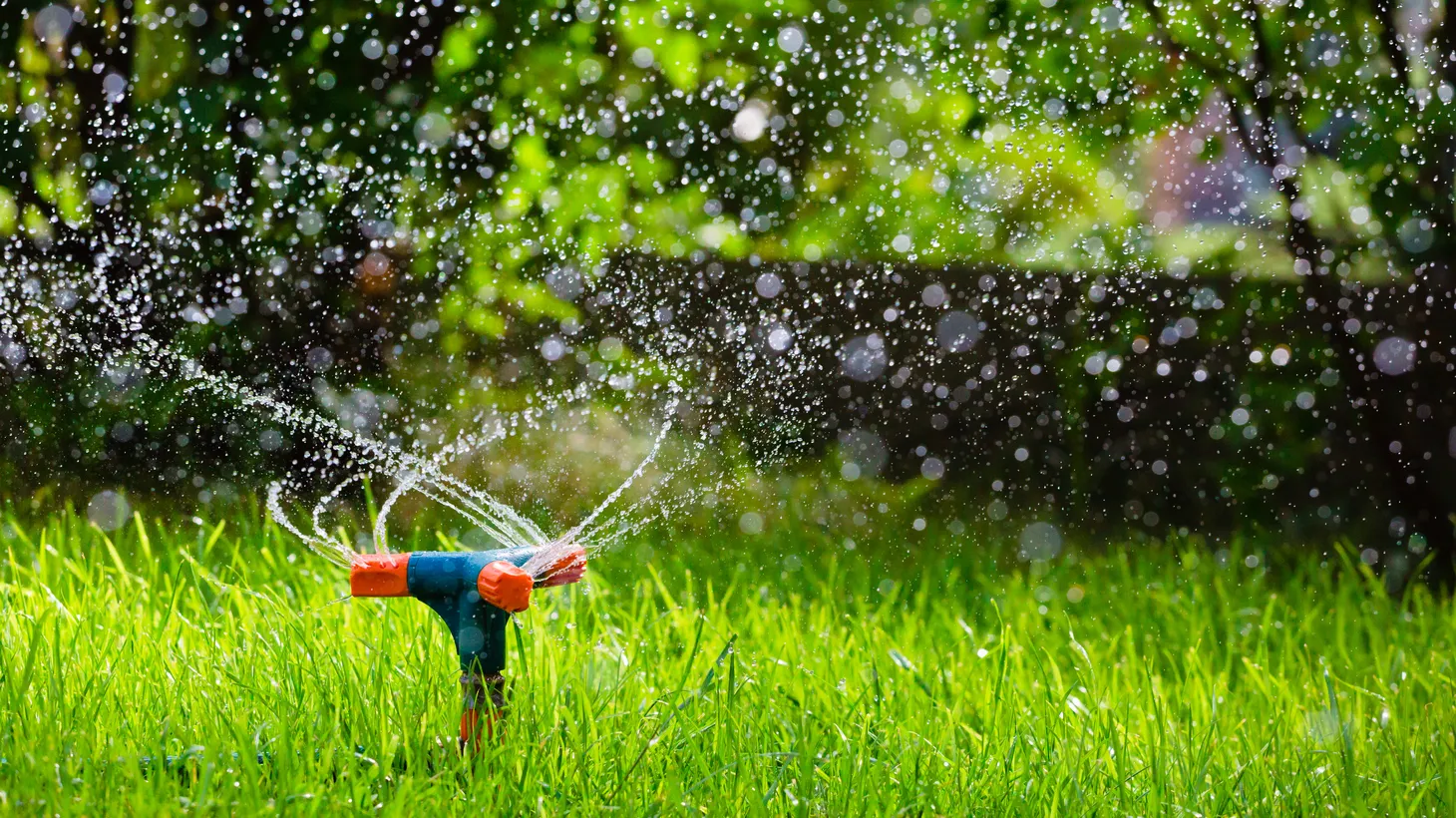 Starting in June, many Southern Californians will be limited to watering their yards only once a week. A set of new water restrictions will affect 6 million residents.