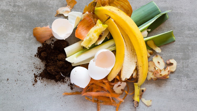 Don’t trash your fruit peels, chicken bones, and coffee grinds. A new food waste recycling law in California aims to cut methane emissions household by household.