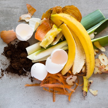 Don’t trash your fruit peels, chicken bones, and coffee grinds. A new food waste recycling law in California aims to cut methane emissions household by household.