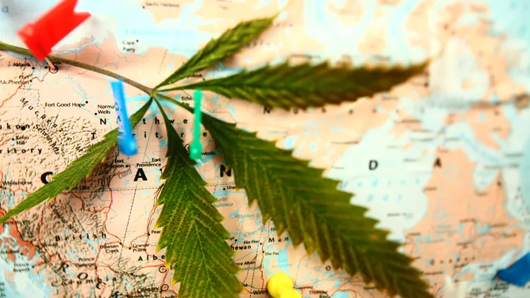 Cannabis is legal in more states than ever this summer, but can you bring your weed on a plane or road trip? It’s complicated.