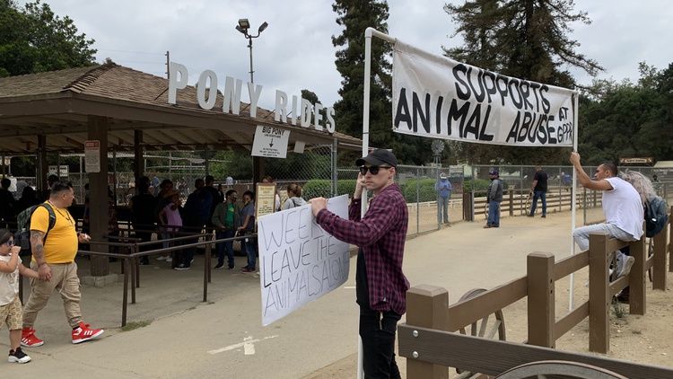 Animal rights activists claim Griffith Park Pony Rides, a 74-year-old equestrian center, mistreats its young horses.
