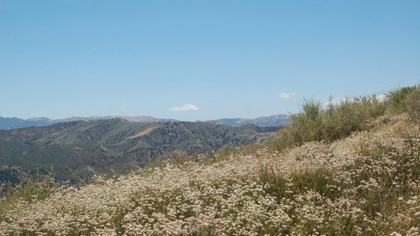 LA County has completed the acquisition of 6,000 acres of land on the Hathaway/Temescal Ranch west of the 5 freeway that will be preserved as open space, particularly for hikers.