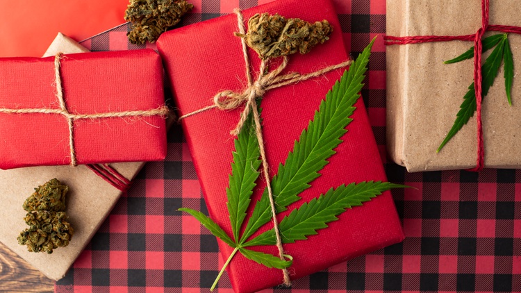 Whether you’ve got extra money to spend or are balancing a budget, there’s a cannabis gift you can give to all marijuana lovers this holiday season.