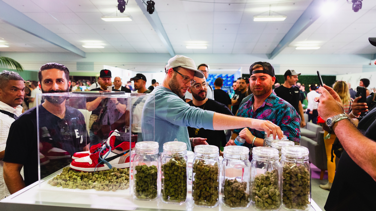The cannabis industry entered 2021 on a high note. Did that optimism hold through the year and what can we expect in 2022?