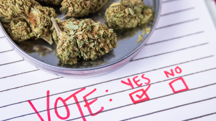 Will California’s November ballot be cannabis-friendly?