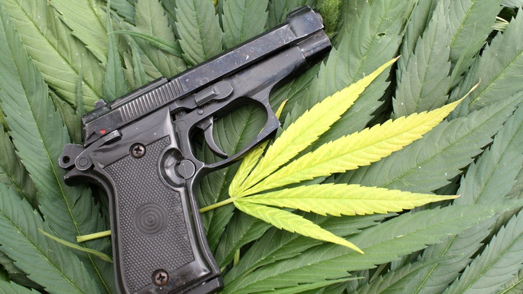 Gun rights v. med marijuana rights: You can have both, argues lawsuit