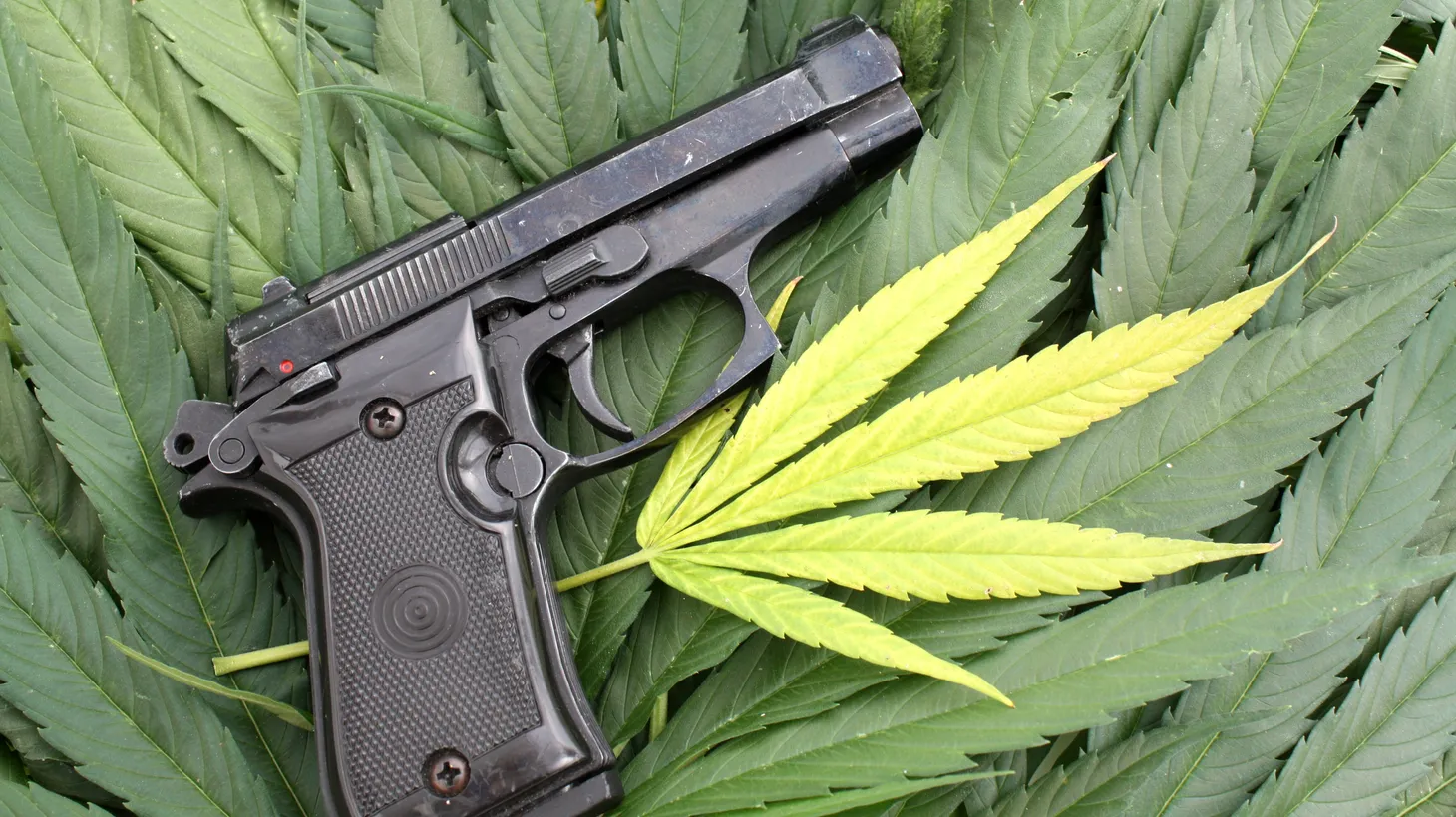 The federal restriction on medical marijuana patients being able to own a gun needs to be “unwound at the federal level on Capitol Hill,” says Leafly Senior Editor David Downs.