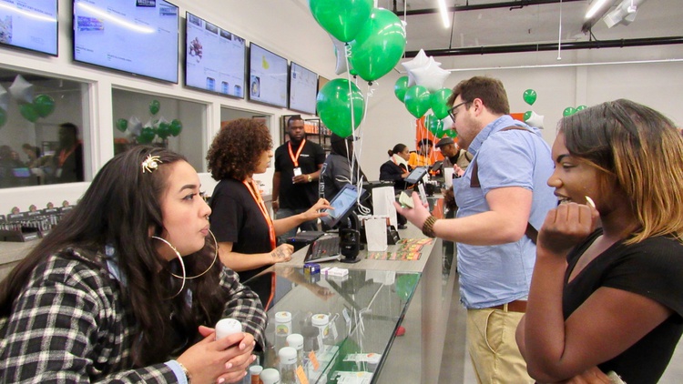The U.S. is entering a golden age in the professionalization of cannabis as the nation inches closer to half a million jobs in the sector.