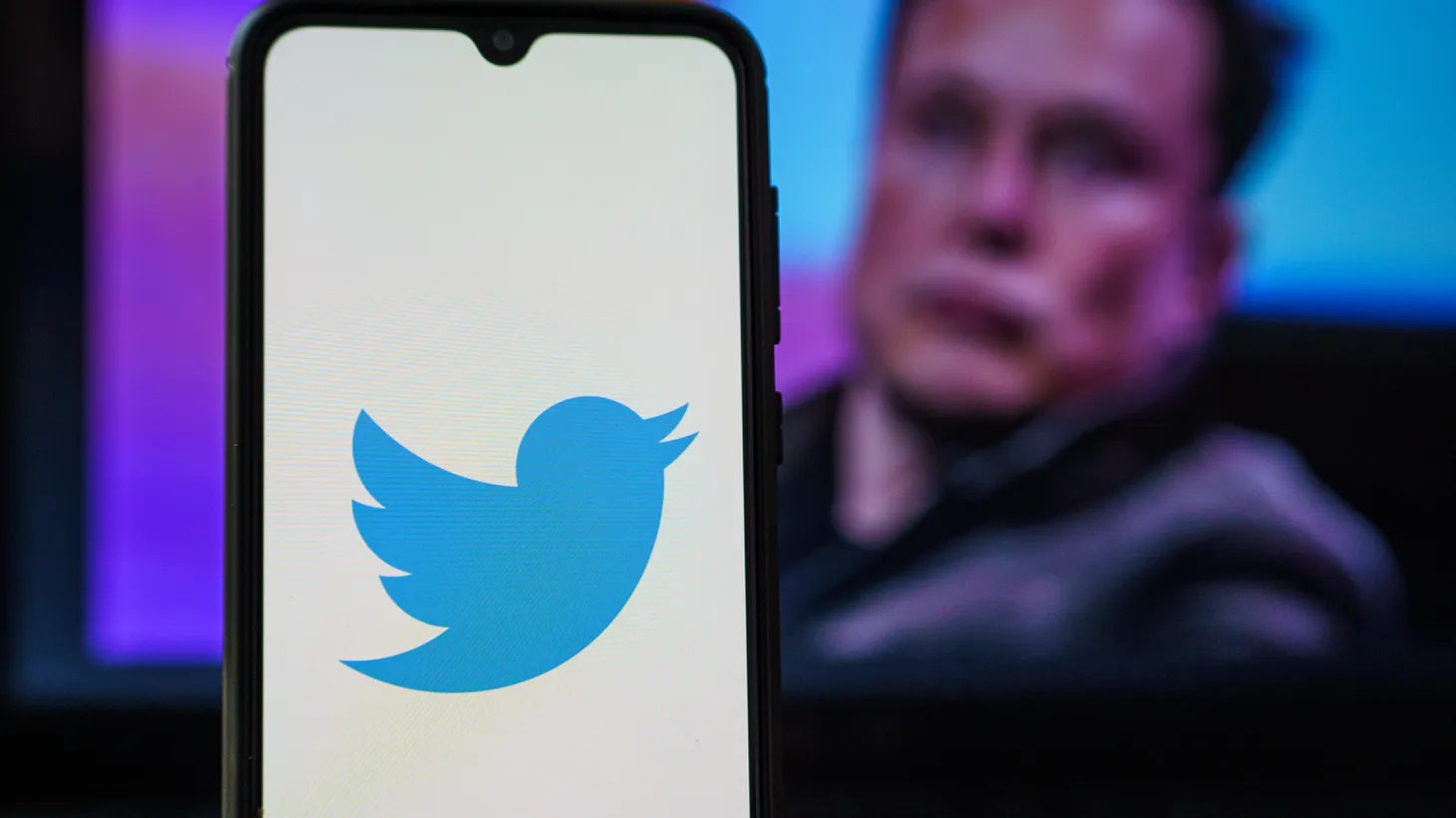 Twitter accepted a $44 billion bid from Elon Musk, which would give the business magnate complete ownership of the platform and take it private.