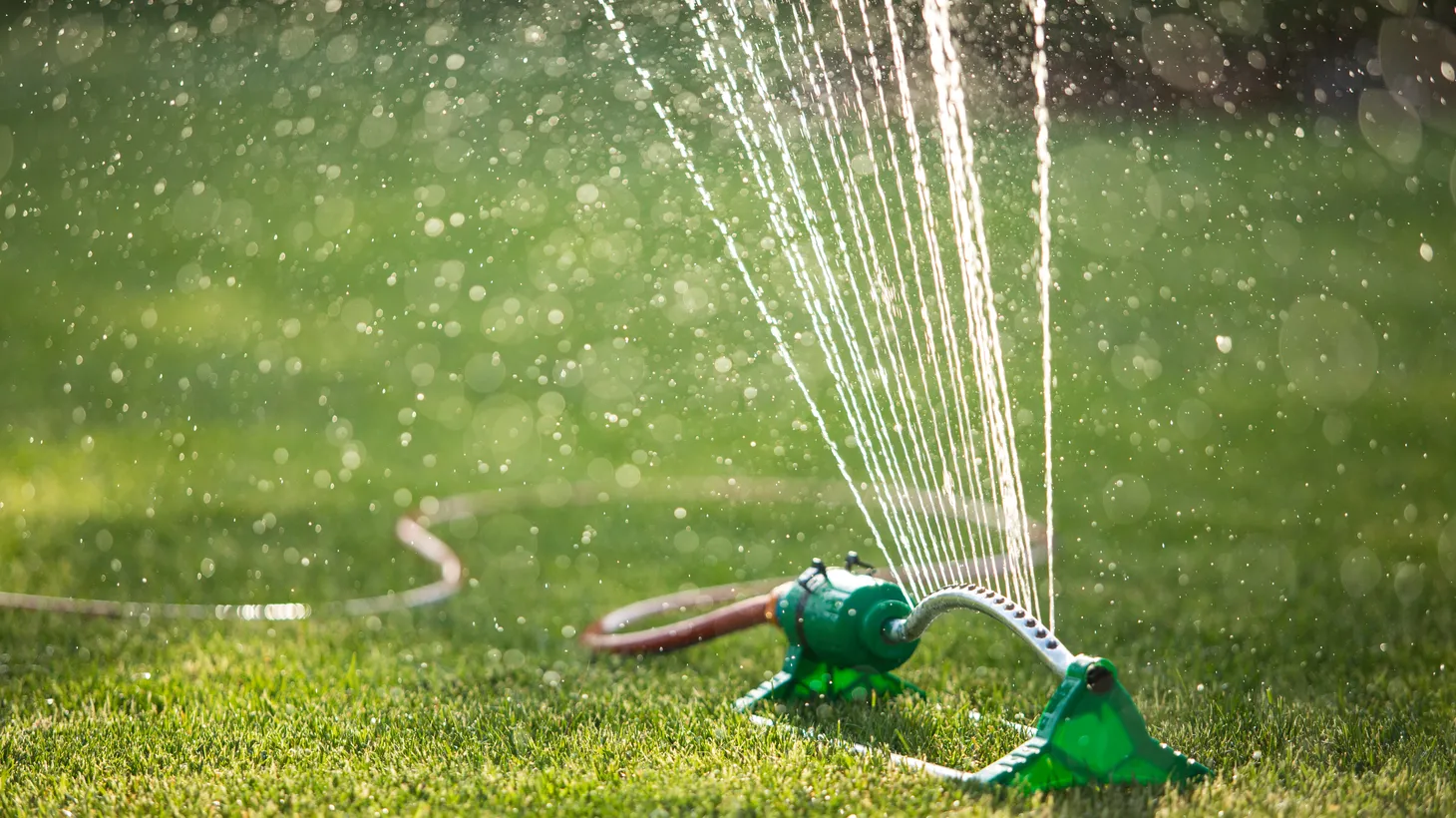 Starting June 1, millions of SoCal residents will be allowed to water their lawns just once a week.