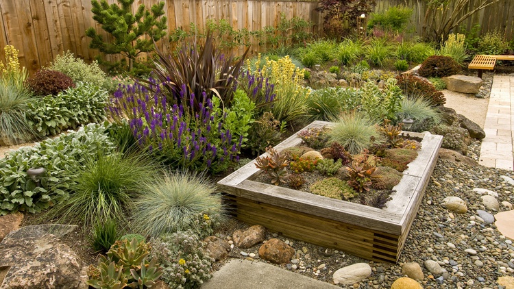It is possible to create a beautiful and functional home garden during California’s upcoming drought-induced water restrictions.