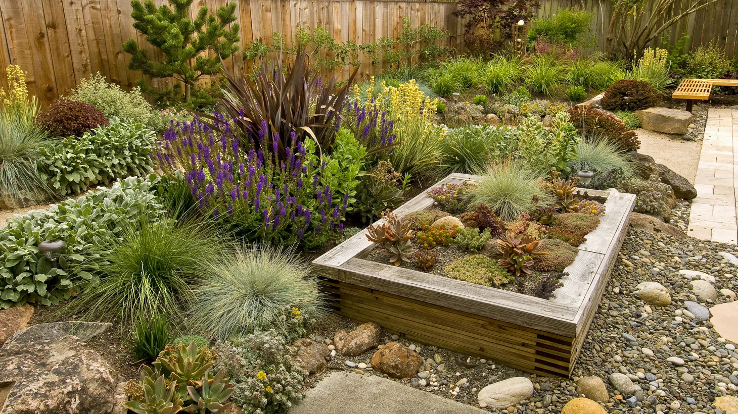 “We can replace [lawns] with native plants and low-water plants that both save water, but also can build habitats and create ecological systems in our urban and suburban spaces that will bring butterflies and hummingbirds and lizards into home gardens and municipal spaces,” says Evan Meyer, the executive director of the Theodore Payne Foundation.