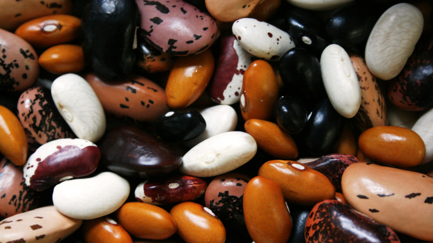 Beans come in many shapes, sizes and colors each with a distinctive flavor and texture.