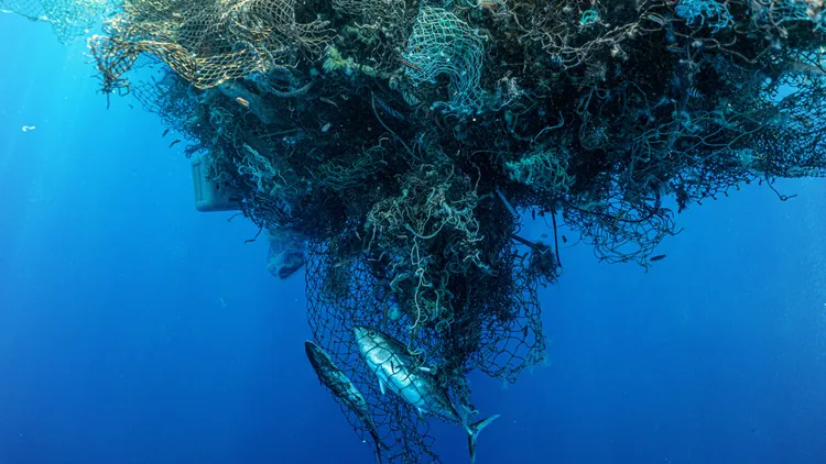 Researchers have discovered a new ecosystem growing inside the Great Pacific Garbage Patch, which is about twice the size of Texas.