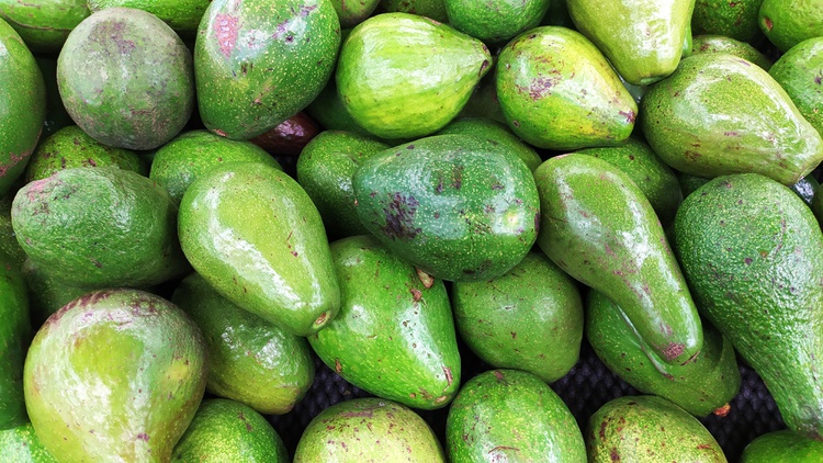 The U.S. announced a few days ago that it’s temporarily banning avocado imports from Mexico after an American produce safety inspector in Michoacán received a threat.