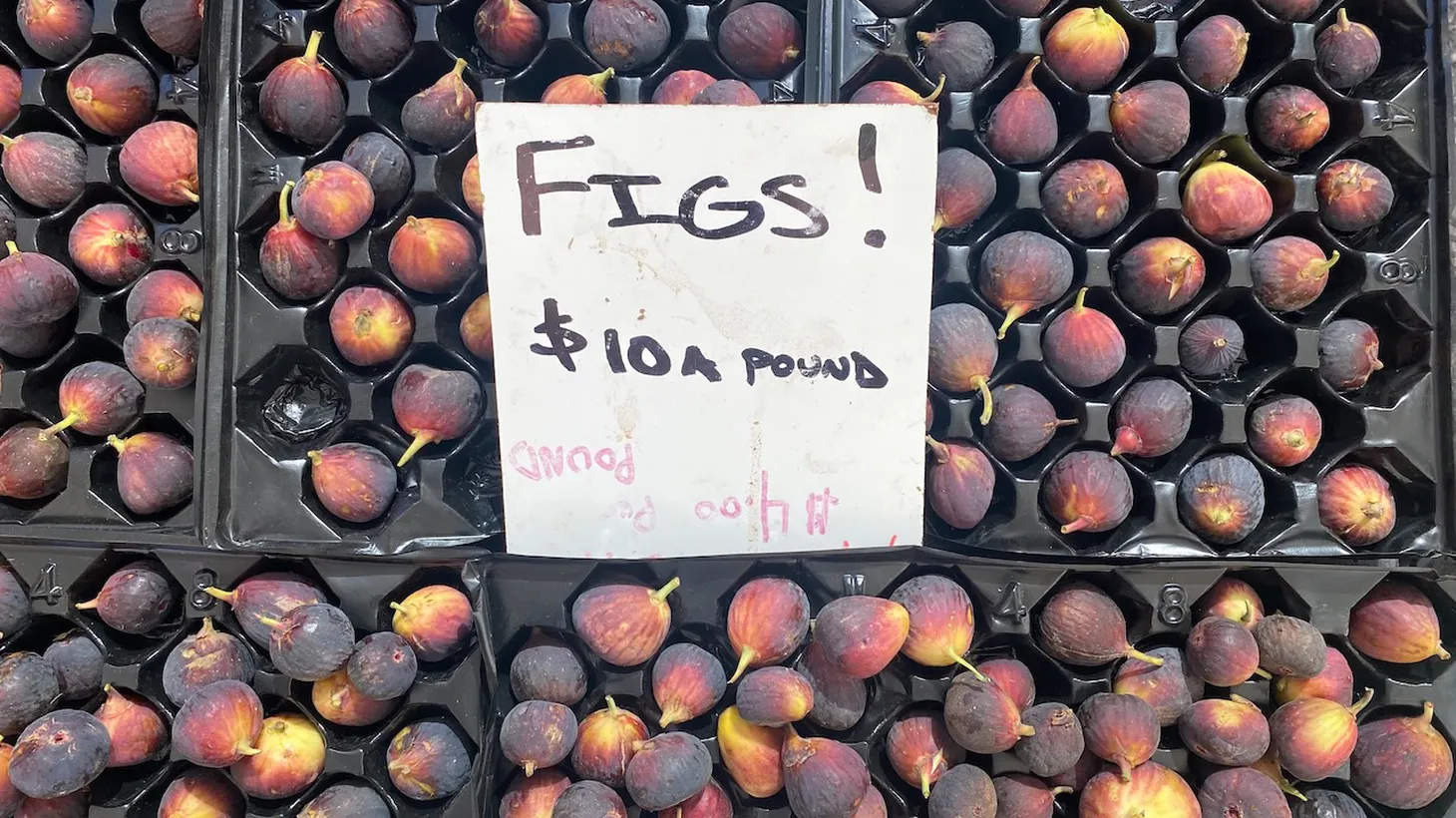 Figs are a late summer treat at the Santa Monica farmers market.