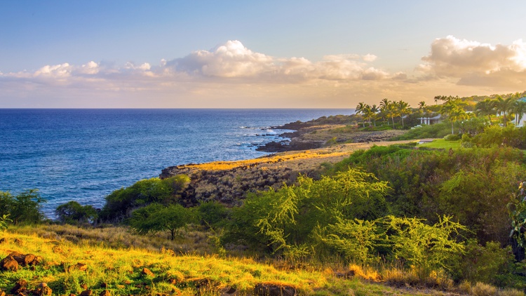 Our lives are too controlled: Residents after Larry Ellison buys Lanai island