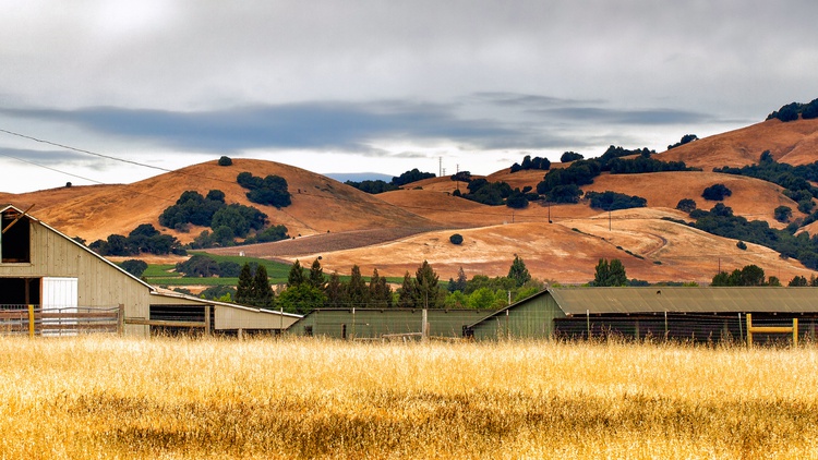 Future of CA agriculture: Smaller farms, less dairy, more nuts?