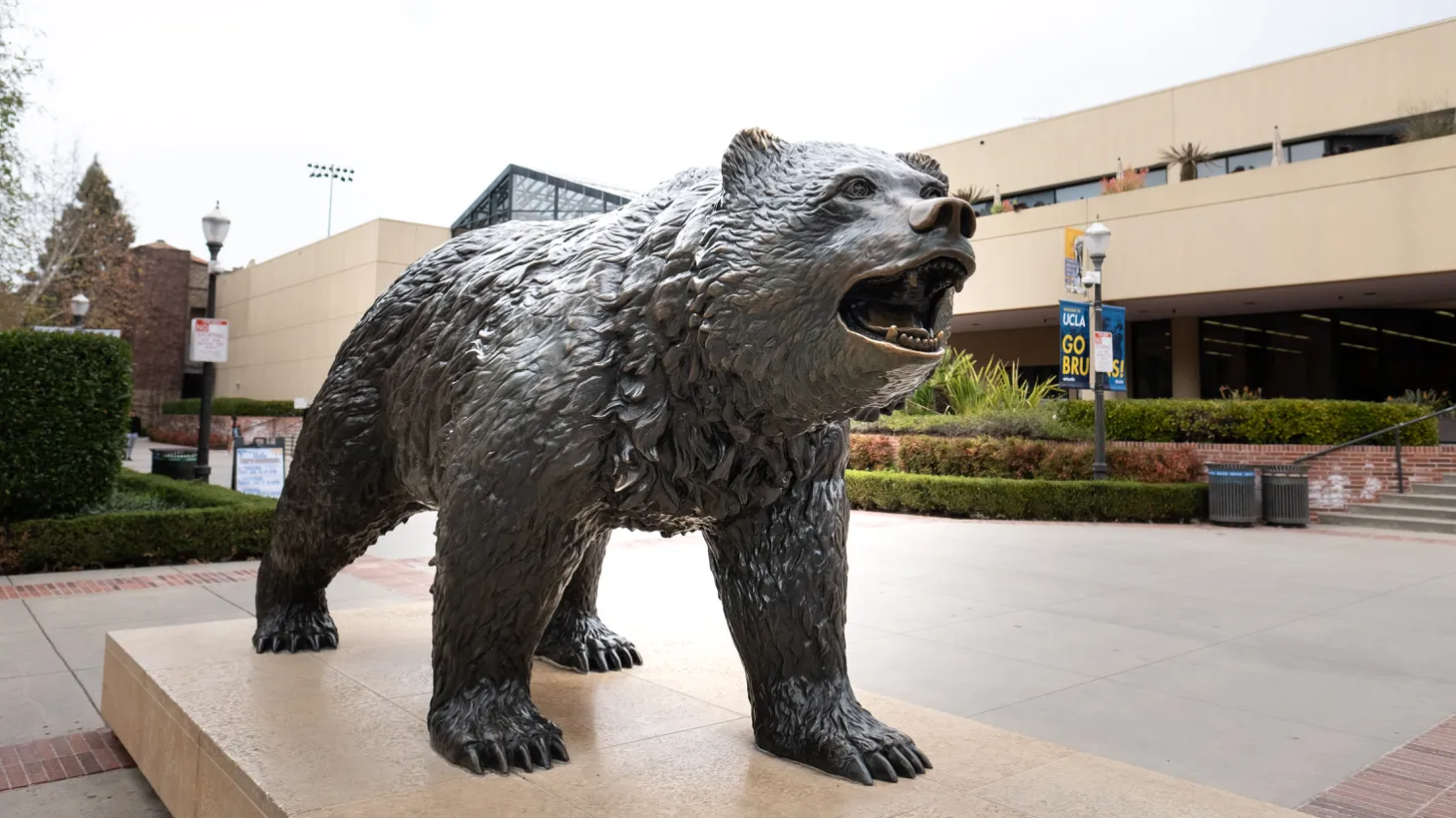 The Bruin bear is seen outside the John Wooden Center on the UCLA campus.