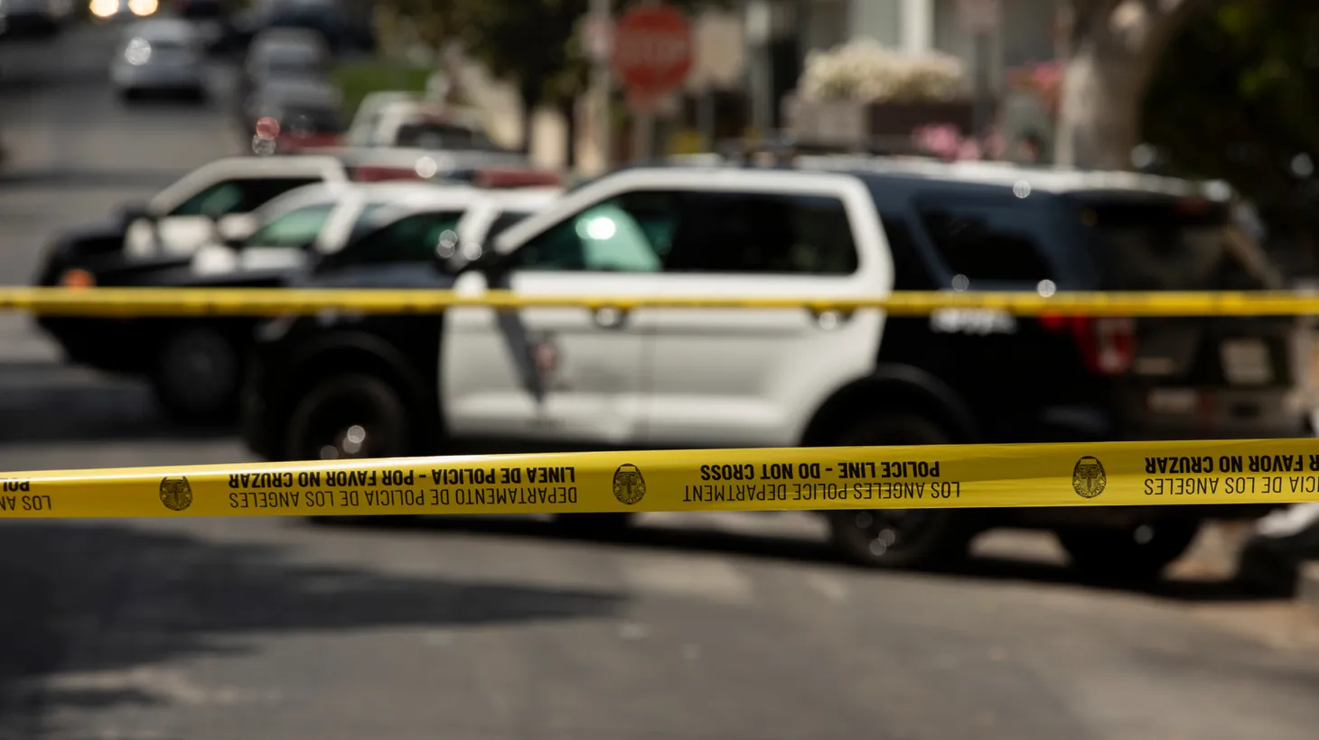 “Police describe some of these incidents becoming rather violent, without the suspects giving the victims even time to comply and hand over the property. [They’re] tackling them in the street, pistol whipping,” says Los Angeles Times reporter Kevin Rector on follow-home robberies targeting wealthy Angelenos.