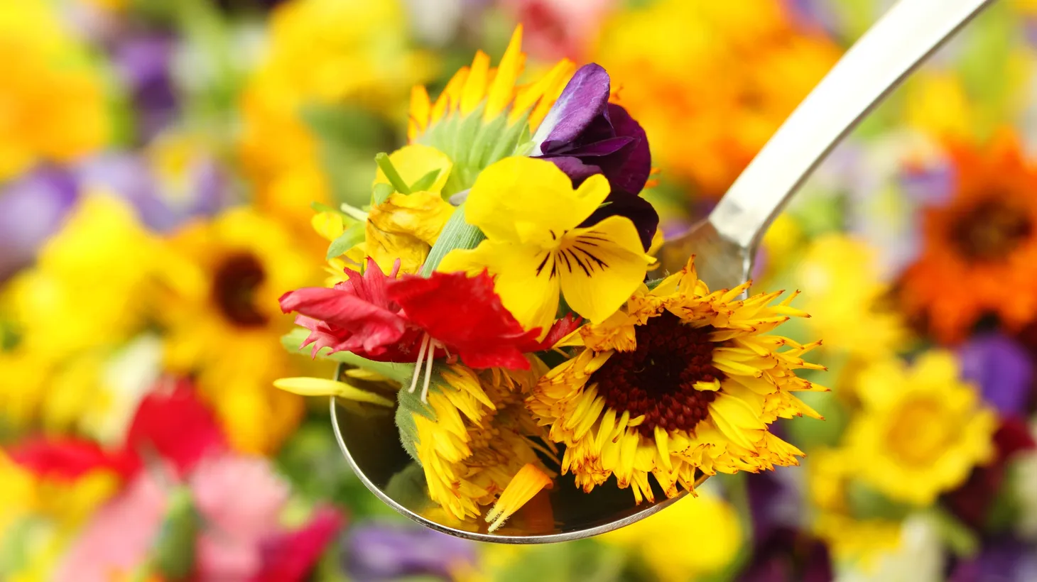 Some flowers aren’t only a visual delight, but enhance the palate as well.