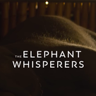 Memorial Day special: ‘Elephant Whisperers,’ ‘Dinner with the President’