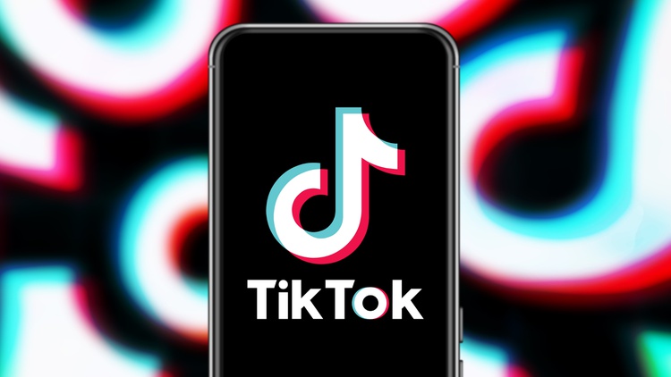 TikTok has transformed our culture by creating a space that makes it easy for all users to use, says LA Times columnist Carolina Miranda.
