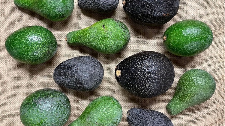 Avocados are rich in healthy fats and can be used for a variety of surprisingly sweet and savory recipes like avocado pie, chopped salad, and panzanella.