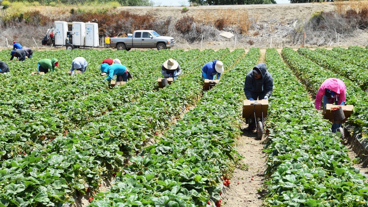 Gov. Gavin Newsom on Wednesday signed a bill that would make it easier for farmworkers to form unions, though he originally opposed it.