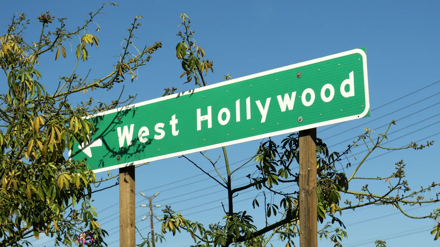 Amateur sleuths solve the murder of West Hollywood porn actor Bill Newton
