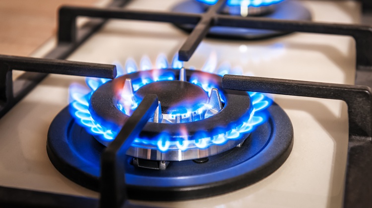 Gas stoves are in nearly 40 million U.S. homes, and they together emit 500,000 cars’ worth of methane per year, according to a new study.