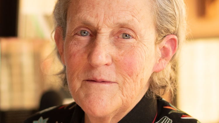 Scientist Temple Grandin credits her success to how she thinks: in pictures.