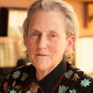 Scientist Temple Grandin: Visual thinking is a different kind of intelligence